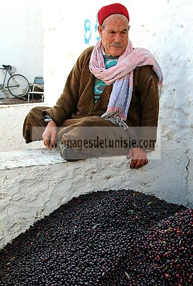 mellita;jerba;ile;djerba;tradition;agriculture;huile;huilerie;olive