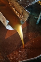 mellita;jerba;ile;djerba;tradition;agriculture;huile;huilerie;olive