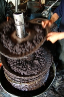 mellita;jerba;ile;djerba;tradition;agriculture;huile;huilerie;olive