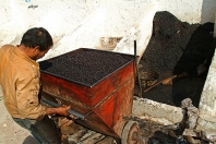 mellita;jerba;ile;djerba;tradition;agriculture;huile;huilerie;olive