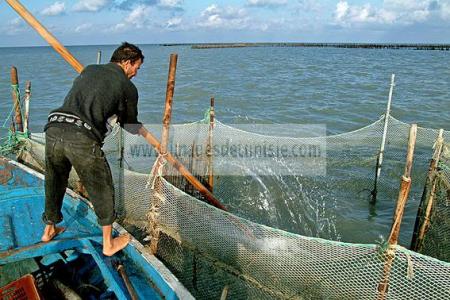 mellita;jerba;ile;djerba;barque;peche;pecherie;pecheur;bateau;