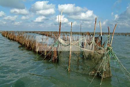 mellita;jerba;ile;djerba;barque;peche;pecherie;pecheur;bateau;