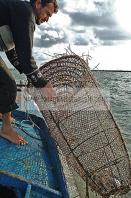 mellita;jerba;ile;djerba;barque;peche;pecherie;pecheur;bateau;