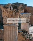 antonin;thermes;colonne;chapiteau;carthage;antiquit�;romain;