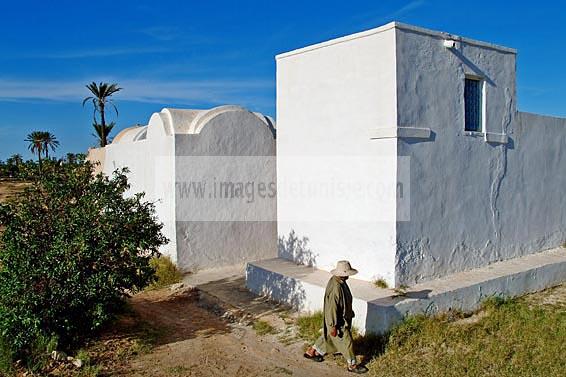 campagne;champs;djerba;ile;jerba;midoun;architecture;musulmane;maison;menzel;