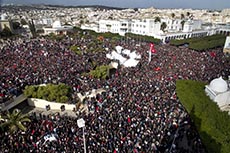 Manifestations et meutes
