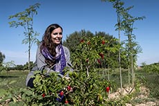 Sarah Toumi, Dream in Tunisia