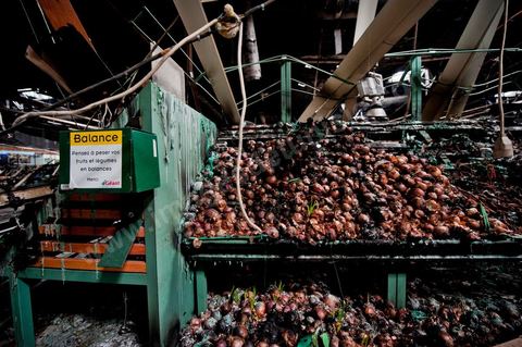 8 février : lIntérieur de l'hypermarché Génat et ses rayons, brulés en totalité et une partie de son plafond effondré. Le centre commercial Tunis City et l'hypermarché Géant de Tunis. Après avoir été pillés, détruits et brûlés dasn la nuit du 14 janvier, le chantier de nettpyage puis de reconstruction a démarré, 10 mois detravaux et de reconstruction sont prévus avant sa réouverture.