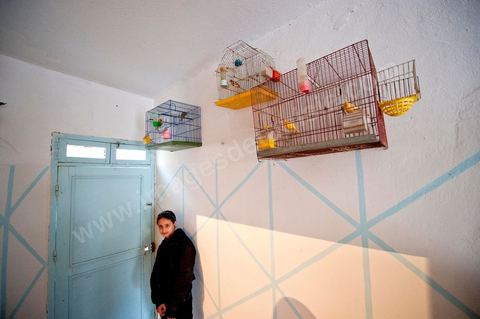 9 février : à la maison de Mohamed Bouazizi le 40ème jour de sa mort. Avec sa famille proche, mère, oncle, frère et soeurs, et amis du quartier célébration du 40ème jour de la mort de Mohamed Bouazizi. Dans la culture musulmane, le 40ème jour est le jour ou l'âme du défunt quitte la terre pour rejoindre le paradis, mùais aussi le jour où les parents doivent accepter ce départ de l'etre cher, le jour où l'on décrète la fin du deuil. ce jour là les proches de la famille viennent manger à la maison de la famille du défunt.