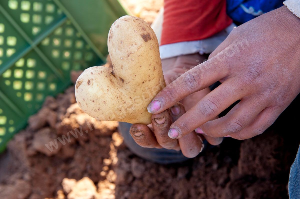 L06-426