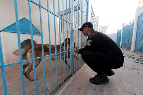 Unité canine de la police tunisienne pour les atrouilles de contrôle anti drogue et anti explosif au poste frontalier de Ras Jedir à la frontière avec la Libye.