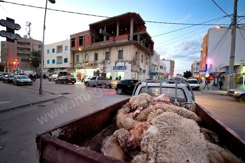 Ambiance au centre ville de Sidi Bouzid, avec une camionnette transportant des peuax de moutons, l'élevage principal de cette région très agricole, le mouton de Sidi Bouzid est un AOC en Tunisie.