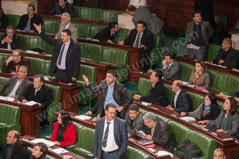 Le 20 janvier, l'Assemblée constituante a adopté l'article 73 qui accorde le droit aux Tunisiens porteurs d'une deuxième nationalité à se présenter à l'élection présidentielle. Ce vote a provoqué une vive réaction des députés nationalistes.