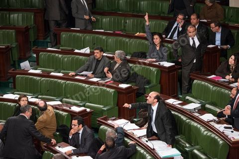 Le 20 janvier, l'Assemblée constituante a adopté l'article 73 qui accorde le droit aux Tunisiens porteurs d'une deuxième nationalité à se présenter à l'élection présidentielle. Ce vote a provoqué une vive réaction des députés nationalistes.