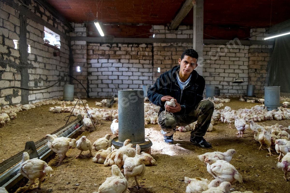 M23-206
