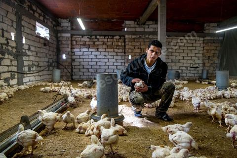 17 janvier 2014 : Amir, 18 ans, a quitté le collège pour aider son père dans leur élévage de poules. pour l'année 2012-2013 plus de 100 000 éléves ont quitté l'école selon le ministre de l'Education. 