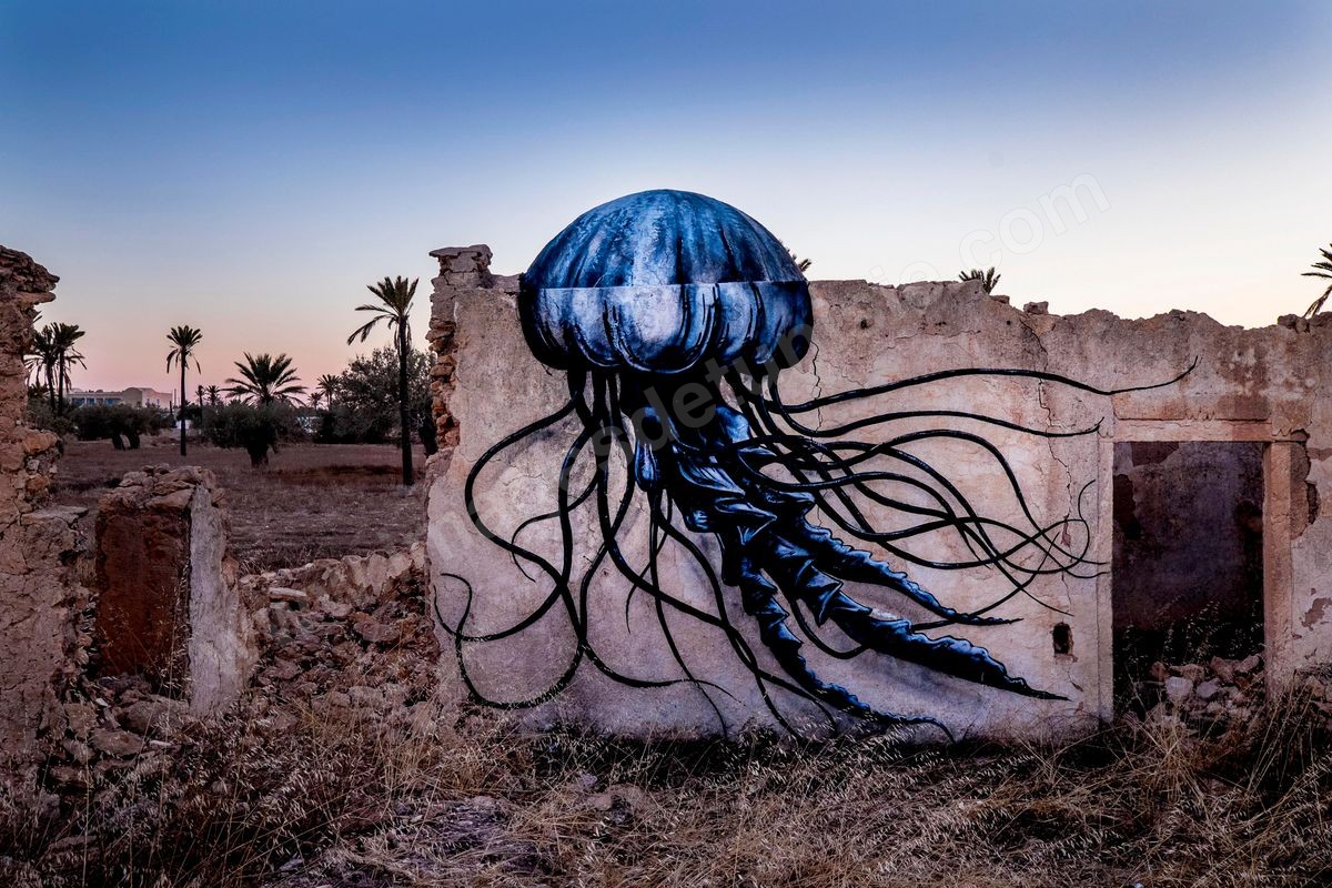 M24-800 Projet Djerbahood Erriadh 07-082014