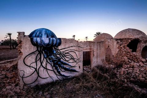 Oeuvre de l'artiste belge ROA pour le Projet DjerbaHood : après la Tour Paris 13, la team Itinerrance dépose ses valises dans un village traditionnel de l’île de Djerba, Erriadh. Depuis le début du mois de juillet, le village d’Erriadh se métamorphose petit à petit pour devenir un véritable musée à ciel ouvert. Une sélection d’artistes des quatre coins du monde ont été invités à s’exprimer dans ce décor unique à l’architecture authentique : murs blancs, portes bleues turquoises, dômes, veilles constructions et divers lieux abandonnés, autant de possibilités qui donneront naissance à des créations uniques aux couleurs locales.