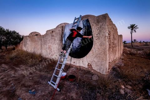 Oeuvre de l'artiste belge ROA pour le Projet DjerbaHood : après la Tour Paris 13, la team Itinerrance dépose ses valises dans un village traditionnel de l’île de Djerba, Erriadh. Depuis le début du mois de juillet, le village d’Erriadh se métamorphose petit à petit pour devenir un véritable musée à ciel ouvert. Une sélection d’artistes des quatre coins du monde ont été invités à s’exprimer dans ce décor unique à l’architecture authentique : murs blancs, portes bleues turquoises, dômes, veilles constructions et divers lieux abandonnés, autant de possibilités qui donneront naissance à des créations uniques aux couleurs locales.