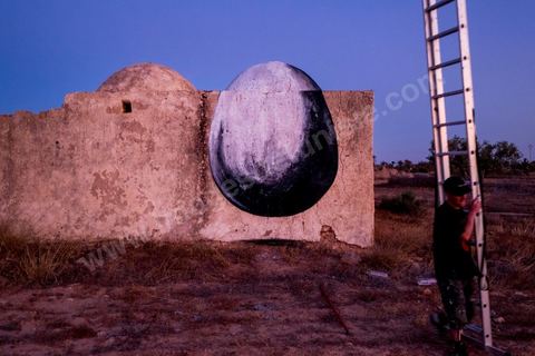 Oeuvre de l'artiste belge ROA pour le Projet DjerbaHood : après la Tour Paris 13, la team Itinerrance dépose ses valises dans un village traditionnel de l’île de Djerba, Erriadh. Depuis le début du mois de juillet, le village d’Erriadh se métamorphose petit à petit pour devenir un véritable musée à ciel ouvert. Une sélection d’artistes des quatre coins du monde ont été invités à s’exprimer dans ce décor unique à l’architecture authentique : murs blancs, portes bleues turquoises, dômes, veilles constructions et divers lieux abandonnés, autant de possibilités qui donneront naissance à des créations uniques aux couleurs locales.