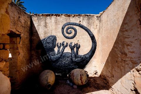 Oeuvre de l'artiste belge ROA pour le Projet DjerbaHood : après la Tour Paris 13, la team Itinerrance dépose ses valises dans un village traditionnel de l’île de Djerba, Erriadh. Depuis le début du mois de juillet, le village d’Erriadh se métamorphose petit à petit pour devenir un véritable musée à ciel ouvert. Une sélection d’artistes des quatre coins du monde ont été invités à s’exprimer dans ce décor unique à l’architecture authentique : murs blancs, portes bleues turquoises, dômes, veilles constructions et divers lieux abandonnés, autant de possibilités qui donneront naissance à des créations uniques aux couleurs locales.