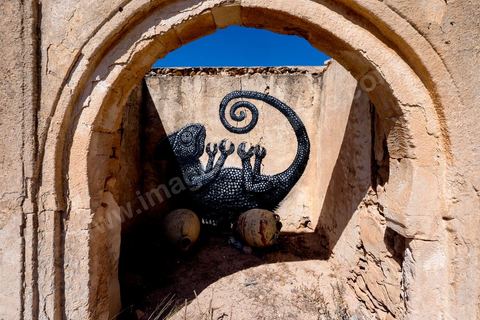 Oeuvre de l'artiste belge ROA pour le Projet DjerbaHood : après la Tour Paris 13, la team Itinerrance dépose ses valises dans un village traditionnel de l’île de Djerba, Erriadh. Depuis le début du mois de juillet, le village d’Erriadh se métamorphose petit à petit pour devenir un véritable musée à ciel ouvert. Une sélection d’artistes des quatre coins du monde ont été invités à s’exprimer dans ce décor unique à l’architecture authentique : murs blancs, portes bleues turquoises, dômes, veilles constructions et divers lieux abandonnés, autant de possibilités qui donneront naissance à des créations uniques aux couleurs locales.