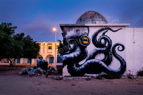 Oeuvre de l'artiste belge ROA pour le Projet DjerbaHood : après la Tour Paris 13, la team Itinerrance dépose ses valises dans un village traditionnel de l’île de Djerba, Erriadh. Depuis le début du mois de juillet, le village d’Erriadh se métamorphose petit à petit pour devenir un véritable musée à ciel ouvert. Une sélection d’artistes des quatre coins du monde ont été invités à s’exprimer dans ce décor unique à l’architecture authentique : murs blancs, portes bleues turquoises, dômes, veilles constructions et divers lieux abandonnés, autant de possibilités qui donneront naissance à des créations uniques aux couleurs locales.
