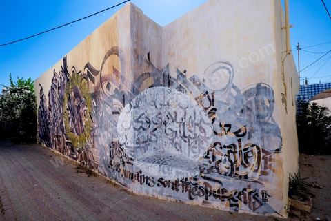 Oeuvres de l'artiste français ZEPHA pour le Projet DjerbaHood : après la Tour Paris 13, la team Itinerrance dépose ses valises dans un village traditionnel de l’île de Djerba, Erriadh. Depuis le début du mois de juillet, le village d’Erriadh se métamorphose petit à petit pour devenir un véritable musée à ciel ouvert. Une sélection d’artistes des quatre coins du monde ont été invités à s’exprimer dans ce décor unique à l’architecture authentique : murs blancs, portes bleues turquoises, dômes, veilles constructions et divers lieux abandonnés, autant de possibilités qui donneront naissance à des créations uniques aux couleurs locales.