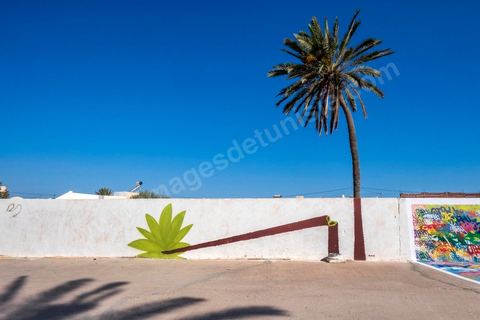 Oeuvres de l'artiste polonais M-CITY pour le Projet DjerbaHood : après la Tour Paris 13, la team Itinerrance dépose ses valises dans un village traditionnel de l’île de Djerba, Erriadh. Depuis le début du mois de juillet, le village d’Erriadh se métamorphose petit à petit pour devenir un véritable musée à ciel ouvert. Une sélection d’artistes des quatre coins du monde ont été invités à s’exprimer dans ce décor unique à l’architecture authentique : murs blancs, portes bleues turquoises, dômes, veilles constructions et divers lieux abandonnés, autant de possibilités qui donneront naissance à des créations uniques aux couleurs locales.