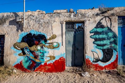 Oeuvres de l'artiste egyptien AYA TAREK pour le Projet DjerbaHood : après la Tour Paris 13, la team Itinerrance dépose ses valises dans un village traditionnel de l’île de Djerba, Erriadh. Depuis le début du mois de juillet, le village d’Erriadh se métamorphose petit à petit pour devenir un véritable musée à ciel ouvert. Une sélection d’artistes des quatre coins du monde ont été invités à s’exprimer dans ce décor unique à l’architecture authentique : murs blancs, portes bleues turquoises, dômes, veilles constructions et divers lieux abandonnés, autant de possibilités qui donneront naissance à des créations uniques aux couleurs locales.