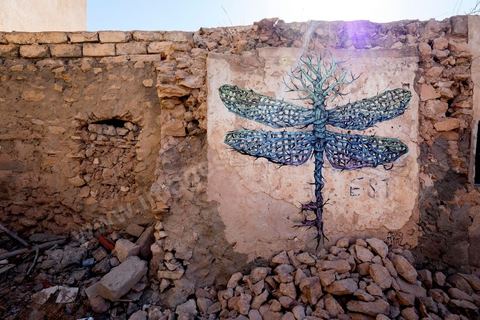 Oeuvres de l'artiste puerto ricain ALEXIS DIAZ pour le Projet DjerbaHood : après la Tour Paris 13, la team Itinerrance dépose ses valises dans un village traditionnel de l’île de Djerba, Erriadh. Depuis le début du mois de juillet, le village d’Erriadh se métamorphose petit à petit pour devenir un véritable musée à ciel ouvert. Une sélection d’artistes des quatre coins du monde ont été invités à s’exprimer dans ce décor unique à l’architecture authentique : murs blancs, portes bleues turquoises, dômes, veilles constructions et divers lieux abandonnés, autant de possibilités qui donneront naissance à des créations uniques aux couleurs locales.