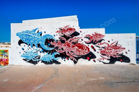 Oeuvres de l'artiste polonais M-CITY pour le Projet DjerbaHood : après la Tour Paris 13, la team Itinerrance dépose ses valises dans un village traditionnel de l’île de Djerba, Erriadh. Depuis le début du mois de juillet, le village d’Erriadh se métamorphose petit à petit pour devenir un véritable musée à ciel ouvert. Une sélection d’artistes des quatre coins du monde ont été invités à s’exprimer dans ce décor unique à l’architecture authentique : murs blancs, portes bleues turquoises, dômes, veilles constructions et divers lieux abandonnés, autant de possibilités qui donneront naissance à des créations uniques aux couleurs locales.