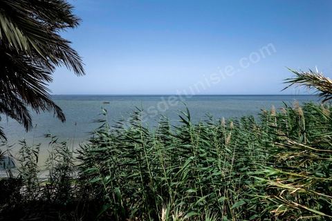 24 juin 2014 : A l'époque les jeunes clandestins rejoignés la mer et des barques depuis des chemins de campagne pour monter sur le bateau de Mohamed. Mohamed, patron pêcheur à Ksibet El Mediouni près de Monastir, a passé des centaines de jeunes clandestins entre la Tunisie et la Sicile entre les années 1996 et 2002. Condamné à 6 ans et demi de prison, aujourd'hui il a repris son travail de patron pêcheur. 