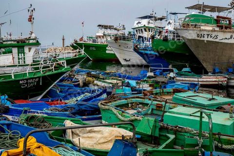 24 juin 2014 : Aujourd'hui le port de Teboulba est le point de départ de près de 7 bateaux de clandestins. Mohamed, patron pêcheur à Ksibet El Mediouni près de Monastir, a passé des centaines de jeunes clandestins entre la Tunisie et la Sicile entre les années 1996 et 2002. Condamné à 6 ans et demi de prison, aujourd'hui il a repris son travail de patron pêcheur. 