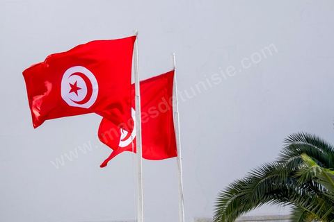 29 mars 2012 : Le président tunisien Béji Caïd Essebsi et plusieurs hauts responsables étrangers ont rejoint ce dimanche à la mi-journée la marche "contre le terrorisme" organisée à Tunis en réaction à l'attaque contre le musée du Bardo. Des dizaines de milliers de Tunisiens y participent. "Un grand salut au peuple tunisien qui a prouvé qu'il ne céderait pas au terrorisme. Merci à tous et je dis au peuple tunisien : En avant! tu n'es pas seul", a lancé Essebsi.François Hollande et le Premier ministre italien Matteo Renzi ainsi que le président gabonais Ali Bongo et son homologue palestinien Mahmoud Abbas ont participé à ce défilé d'officiels en lisière du musée. Ce défilé officiel a longé l'enceinte où se trouvent le Parlement et le musée du Bardo, théâtre de l'attaque du 18 mars dans laquelle ont péri 22 personnes. Les politiques ont ensuite inauguré une stèle portant les noms des victimes. 