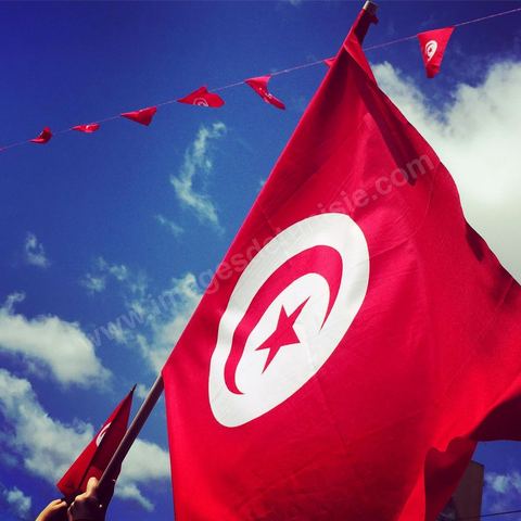 29 mars 2015 : Le président tunisien Béji Caïd Essebsi et plusieurs hauts responsables étrangers ont rejoint ce dimanche à la mi-journée la marche "contre le terrorisme" organisée à Tunis en réaction à l'attaque contre le musée du Bardo. Des dizaines de milliers de Tunisiens y participent. "Un grand salut au peuple tunisien qui a prouvé qu'il ne céderait pas au terrorisme. Merci à tous et je dis au peuple tunisien : En avant! tu n'es pas seul", a lancé Essebsi.François Hollande et le Premier ministre italien Matteo Renzi ainsi que le président gabonais Ali Bongo et son homologue palestinien Mahmoud Abbas ont participé à ce défilé d'officiels en lisière du musée. Ce défilé officiel a longé l'enceinte où se trouvent le Parlement et le musée du Bardo, théâtre de l'attaque du 18 mars dans laquelle ont péri 22 personnes. Les politiques ont ensuite inauguré une stèle portant les noms des victimes. 