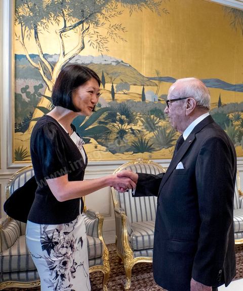 18 avril 2015 : Rencontre entre Fleur Pelerin, minsitre française de la culture et Béji Caïd Essebsi, président de la République tunisienne au Palais de Carthage. Dans le cadre de la promotion de la Tunisie, la ministre française de la Culture Fleur Pelerin s'est rendue en Tunisie dans un voyage organisé par le ministère du tourisme avec une délégation de personnalités françaises et tunisiennes qui participent à la campagne de communication "La Tunisie, moi j'y vais".