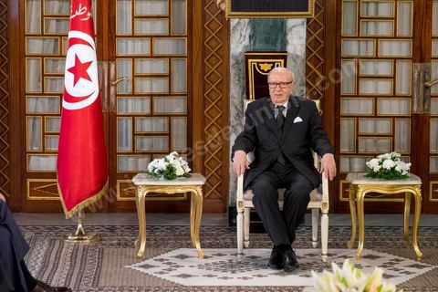18 avril 2015 : Au palais présidentiel de Carthage, le président tunisien Béji Caïd Essebsi reçoit la délégation. Dans le cadre de la promotion de la Tunisie, la ministre française de la Culture Fleur Pelerin s'est rendue en Tunisie dans un voyage organisé par le ministère du tourisme avec une délégation de personnalités françaises et tunisiennes qui participent à la campagne de communication "La Tunisie, moi j'y vais".