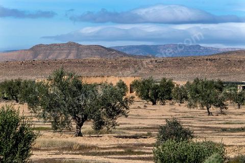 Les montagnes qui dominent la ville de Sidi Ali Ben Aoun au centre de la Tunisie sont aujourd'hui les maquis des djihadistes chassés par la répression policière de leur fief djihadiste. Cette ville est réputée pour son grand nombre de jeunes partis au djihad et par la présence de Al Khatib Idrissi, l'un des penseurs salafistes et considéré comme l'un des principaux recruteurs de djihadistes tunisiens en Libye et Syrie. 