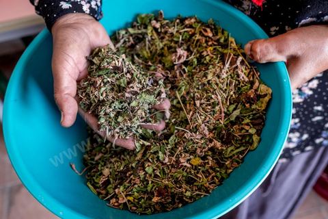 1er novembre 2016 : dans son garage Samira Shgaier a développé une petite boutique entreport où elle produit pour l'association "Acacias for all" des tissages à base du moringa et d'autres produits des cultures de son jardin, elle participe activement au programme de développement d'entreprise sociale qui forme les agriculteurs de l'association de Sarah Toumi. Depuis ses 11 ans, Sarah Toumi ne jure que par l’action collective. Fondatrice, en 2008, de Dream, un « réseau d’échange et d’action pour le développement » destiné aux jeunes, Sarah Toumi, aujourd’hui 29 ans, quitte Paris en 2012 pour retrouver la campagne tunisienne et ses souvenirs d’enfance. N’ayant jamais pu oublier les inégalités et la pauvreté qui régnaient à Bir Salah, le village de son grand-père, dans la région de Sfax (Centre), elle crée Acacias for All, une entreprise « à vocation sociale ».Objectif : réduire le déficit hydrique de cette localité affectée par le changement climatique. Une initiative qui vaut à Sarah Toumi d’être la seule Arabe et Africaine à figurer dans le classement mondial 2016 des trente meilleurs entrepreneurs de moins de 30 ans, établi par le magazine américain Forbes.