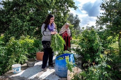 1er novembre 2016 : Samira Ismail travaille depuis le mois de mai ses plantations de Moringa dans son jardin, la plante investit tout son temps et sa maison dans lespoir de trouver un nouveau revenu pour la famille, Sarah Toumi accompagne ces femmes au quoitidien et leur propose régulièrement des formations pour optimiser cette nouvelleculture. Depuis ses 11 ans, Sarah Toumi ne jure que par l’action collective. Fondatrice, en 2008, de Dream, un « réseau d’échange et d’action pour le développement » destiné aux jeunes, Sarah Toumi, aujourd’hui 29 ans, quitte Paris en 2012 pour retrouver la campagne tunisienne et ses souvenirs d’enfance. N’ayant jamais pu oublier les inégalités et la pauvreté qui régnaient à Bir Salah, le village de son grand-père, dans la région de Sfax (Centre), elle crée Acacias for All, une entreprise « à vocation sociale ».Objectif : réduire le déficit hydrique de cette localité affectée par le changement climatique. Une initiative qui vaut à Sarah Toumi d’être la seule Arabe et Africaine à figurer dans le classement mondial 2016 des trente meilleurs entrepreneurs de moins de 30 ans, établi par le magazine américain Forbes.