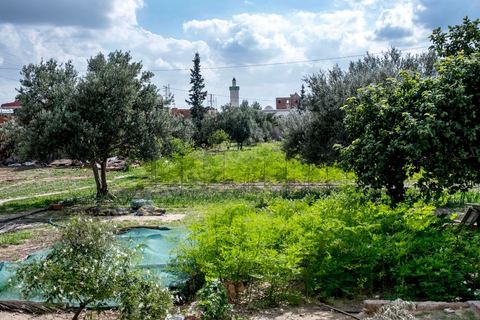 1er novembre 2016 : Samira Ismail travaille depuis le mois de mai ses plantations de Moringa dans son jardin, la plante investit tout son temps et sa maison dans lespoir de trouver un nouveau revenu pour la famille, Sarah Toumi accompagne ces femmes au quoitidien et leur propose régulièrement des formations pour optimiser cette nouvelleculture. Depuis ses 11 ans, Sarah Toumi ne jure que par l’action collective. Fondatrice, en 2008, de Dream, un « réseau d’échange et d’action pour le développement » destiné aux jeunes, Sarah Toumi, aujourd’hui 29 ans, quitte Paris en 2012 pour retrouver la campagne tunisienne et ses souvenirs d’enfance. N’ayant jamais pu oublier les inégalités et la pauvreté qui régnaient à Bir Salah, le village de son grand-père, dans la région de Sfax (Centre), elle crée Acacias for All, une entreprise « à vocation sociale ».Objectif : réduire le déficit hydrique de cette localité affectée par le changement climatique. Une initiative qui vaut à Sarah Toumi d’être la seule Arabe et Africaine à figurer dans le classement mondial 2016 des trente meilleurs entrepreneurs de moins de 30 ans, établi par le magazine américain Forbes.