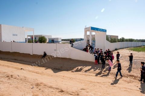 1er novembre 2016 : Mur des fiertés et des rêves réalisés par les femmes de Bir Salah au Fortin de la Connaissance de l'association Dream in Tunisia, un espace offrant des services sociaux-culturels, éducatifs et économiques, participant à l’émancipation des usagers. Depuis ses 11 ans, Sarah Toumi ne jure que par l’action collective. Fondatrice, en 2008, de Dream, un « réseau d’échange et d’action pour le développement » destiné aux jeunes, Sarah Toumi, aujourd’hui 29 ans, quitte Paris en 2012 pour retrouver la campagne tunisienne et ses souvenirs d’enfance. N’ayant jamais pu oublier les inégalités et la pauvreté qui régnaient à Bir Salah, le village de son grand-père, dans la région de Sfax (Centre), elle crée Acacias for All, une entreprise « à vocation sociale ».Objectif : réduire le déficit hydrique de cette localité affectée par le changement climatique. Une initiative qui vaut à Sarah Toumi d’être la seule Arabe et Africaine à figurer dans le classement mondial 2016 des trente meilleurs entrepreneurs de moins de 30 ans, établi par le magazine américain Forbes.