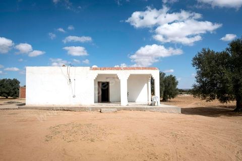 16 octobre 2017 : Chez Ahmed Hattay, jeune homme de 21 ans, mort lors de la collision de leur bateau avec un navire militaire tunisien lors de la traversée clandestine vers l'Italie. La famille et les voisins se réunissent quotidiennement pour partager le deuil, "ici nous sommes pauvres, nous n'avons pas de travail" nous répète le père Magtouf Hattay. Dans la nuit du 8 au 9 octobre 2017 un bateau de pêcheur avec plus de 90 migrants clandestins tunisiens à bord a été percuté "accidentellement" (selon source officielle) provocant la mort et disparition d'une cinquantaine de jeunes tunisiens les autres ayant été rescapé apr ce meme navire tunisien. 