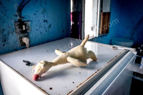 24 juin 2017 : La cusine. Chez Océane, migrante Ivoirienne à Tunis dans un quartier populaire. Elle vit dans une maison avec 2 chambres qu'elle partage avec son fils Eden et cinq autres ivoiriennes. Océane est arrivée en Tunisie en 2010 comme étudiante et est depuis 5 ans en situation irrégulière, ne lui permettant plus de travailler légalement. Il y a deux ans Eden est né, ce jeune garçon plein de joie est devenu sa raison de vivre, elle souhaite trouver un endroit pour vivre normalement et élever son fils. “J’estime que pour vivre bien Tunisie, il me faudrait entre 800 et 1000 dinars. Généralement, je suis plutôt à 350. Entre les couches et la nourriture, les dépenses sont rapides.” La jeune femme travaille de façon irrégulière : elle a quelques patrons qui l’appellent, selon leur besoin, pour faire le ménage chez eux. Une journée lui rapporte entre 25 et 30 dinars.  