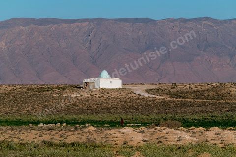 Sur la route entre Gafsa et Moularès