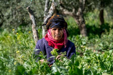 19 janvier 2018 : Ouvrière agricole dans l'Oasis de Gafsa El Ksar. HANIYEH MANSOURI, ne connaît pas son âge, travaille la terre depuis plus de trente ans pour les exploitants agricoles de l'Oasis, payée à la journée ou à la semaine parfois. Elle est mère de 3 filles et 6 garçons.
