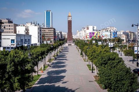 23 mars 2020 : le centre ville de Tunis et ses grandes artères dont l'avenue Habib Bourguiba sont désertées aux premiers jours du confinement imposé par l'état à cause du Covid19. A partir de 18h et jusqu'à 6h du matin un couvre feu a aussi été instauré durant cette période. 