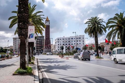 23 mars 2020 : le centre ville de Tunis et ses grandes artères dont l'avenue Habib Bourguiba sont désertées aux premiers jours du confinement imposé par l'état à cause du Covid19. A partir de 18h et jusqu'à 6h du matin un couvre feu a aussi été instauré durant cette période. 