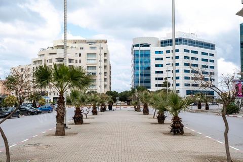 27 mars 2020 : les quartiers du Lac 1 et 2, quartier d'affaires de Tunis sous le confinement du Covid19. Ces deux quartiers ont été déclarés aussi zone de pic du virus. 